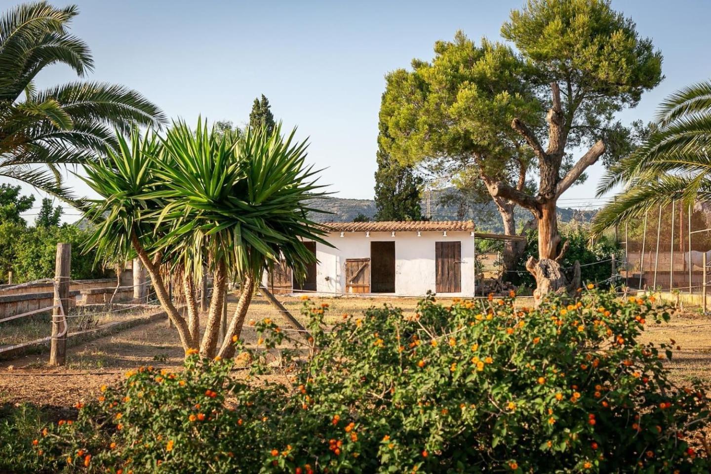 Del Artista Super Lujo Villa Llucmajor (Mallorca)